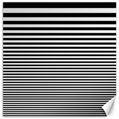 Black White Line Canvas 20  X 20   by Mariart