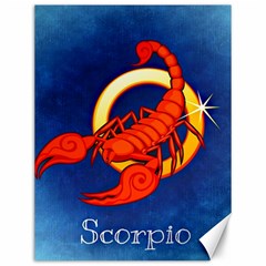 Zodiac Scorpio Canvas 12  x 16  