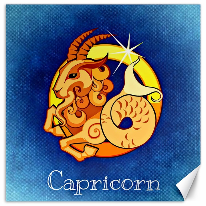 Zodiac Capricorn Canvas 16  x 16  