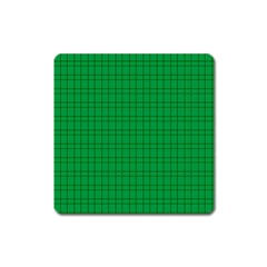 Pattern Green Background Lines Square Magnet by Nexatart