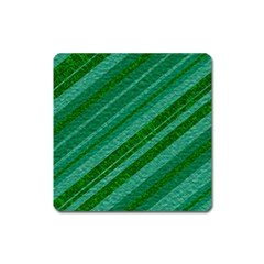 Stripes Course Texture Background Square Magnet by Nexatart