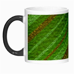 Stripes Course Texture Background Morph Mugs by Nexatart