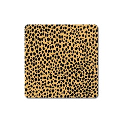 Cheetah Skin Spor Polka Dot Brown Black Dalmantion Square Magnet by Mariart