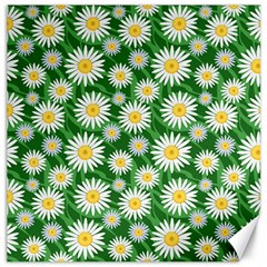 Flower Sunflower Yellow Green Leaf White Canvas 20  X 20   by Mariart