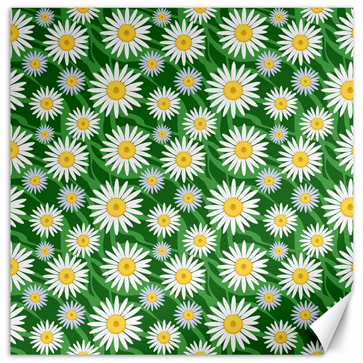 Flower Sunflower Yellow Green Leaf White Canvas 20  x 20  