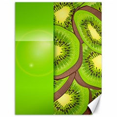 Fruit Slice Kiwi Green Canvas 18  X 24   by Mariart