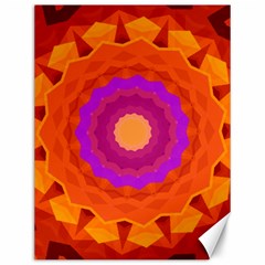 Mandala Orange Pink Bright Canvas 12  X 16   by Nexatart