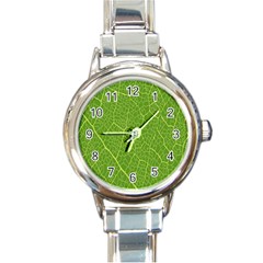 Green Leaf Line Round Italian Charm Watch by Mariart