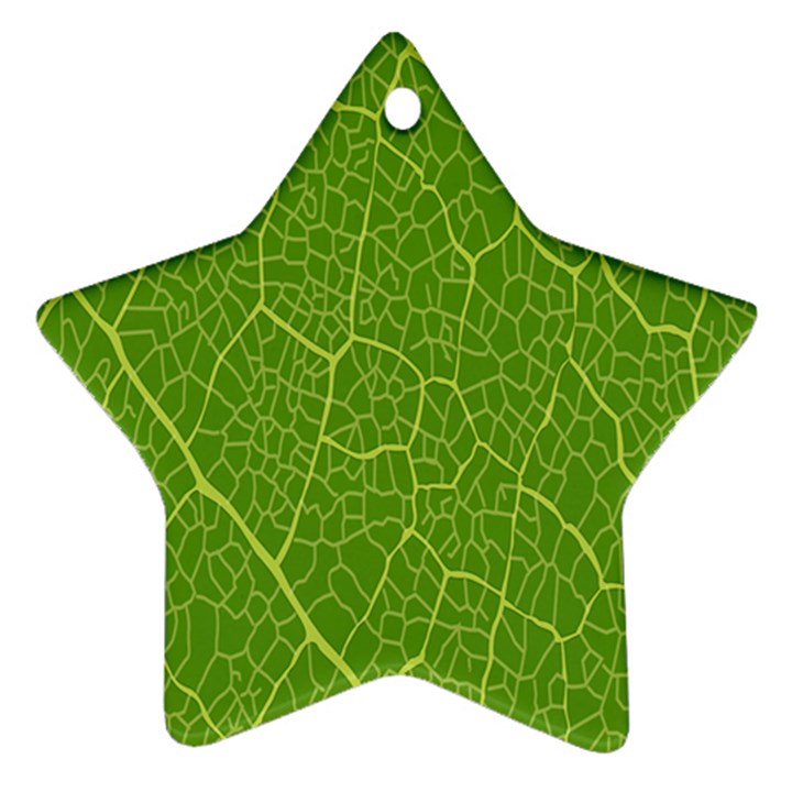 Green Leaf Line Ornament (Star)