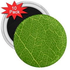 Green Leaf Line 3  Magnets (10 Pack)  by Mariart