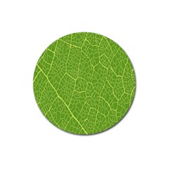 Green Leaf Line Magnet 3  (round) by Mariart