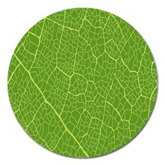 Green Leaf Line Magnet 5  (round)