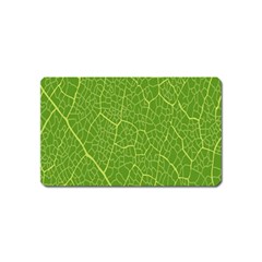 Green Leaf Line Magnet (name Card) by Mariart