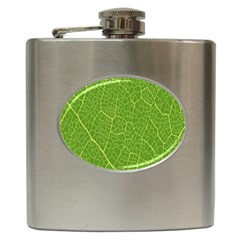 Green Leaf Line Hip Flask (6 Oz) by Mariart