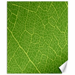 Green Leaf Line Canvas 8  X 10  by Mariart