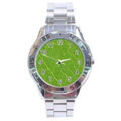 Green Leaf Line Stainless Steel Analogue Watch by Mariart