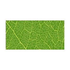 Green Leaf Line Yoga Headband by Mariart