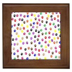 Paw Prints Dog Cat Color Rainbow Animals Framed Tiles