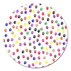 Paw Prints Dog Cat Color Rainbow Animals Magnet 5  (round) by Mariart