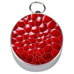 Plaid Iron Red Line Light Silver Compasses by Mariart