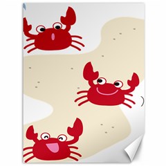 Sand Animals Red Crab Canvas 36  X 48   by Mariart