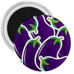 Vegetable Eggplant Purple Green 3  Magnets Front