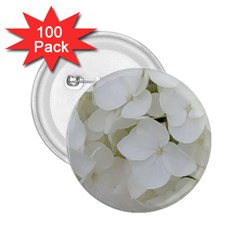 Hydrangea Flowers Blossom White Floral Photography Elegant Bridal Chic  2 25  Buttons (100 Pack)  by yoursparklingshop