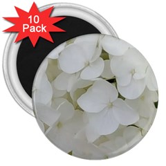 Hydrangea Flowers Blossom White Floral Photography Elegant Bridal Chic  3  Magnets (10 Pack)  by yoursparklingshop