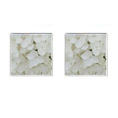 Hydrangea Flowers Blossom White Floral Photography Elegant Bridal Chic  Cufflinks (square) by yoursparklingshop