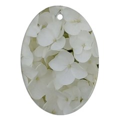 Hydrangea Flowers Blossom White Floral Photography Elegant Bridal Chic  Oval Ornament (two Sides) by yoursparklingshop