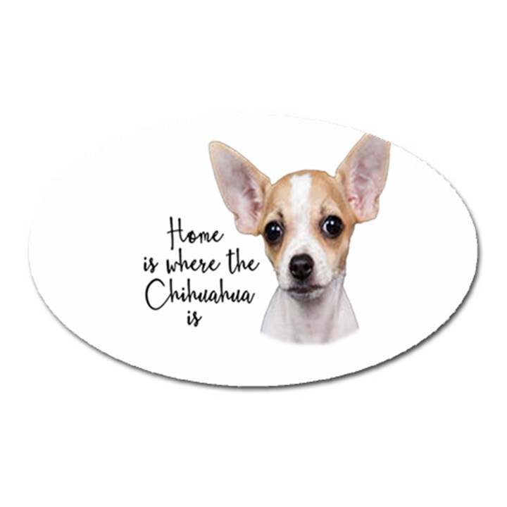 Chihuahua Oval Magnet