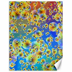 Color Particle Background Canvas 12  X 16   by Nexatart