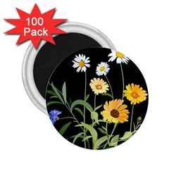 Flowers Of The Field 2 25  Magnets (100 Pack)  by Nexatart