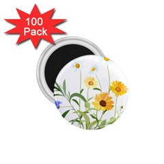 Flowers Flower Of The Field 1 75  Magnets (100 Pack)  by Nexatart