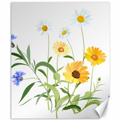 Flowers Flower Of The Field Canvas 20  X 24   by Nexatart