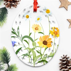 Flowers Flower Of The Field Ornament (oval Filigree) by Nexatart