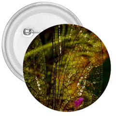 Dragonfly Dragonfly Wing Insect 3  Buttons by Nexatart