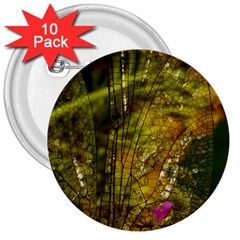 Dragonfly Dragonfly Wing Insect 3  Buttons (10 Pack)  by Nexatart