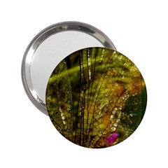 Dragonfly Dragonfly Wing Insect 2 25  Handbag Mirrors by Nexatart