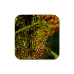 Dragonfly Dragonfly Wing Insect Rubber Coaster (square)  by Nexatart