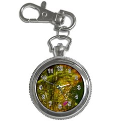 Dragonfly Dragonfly Wing Insect Key Chain Watches by Nexatart