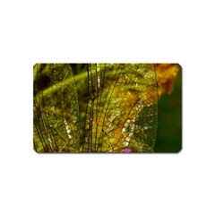 Dragonfly Dragonfly Wing Insect Magnet (name Card) by Nexatart