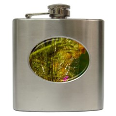 Dragonfly Dragonfly Wing Insect Hip Flask (6 Oz) by Nexatart