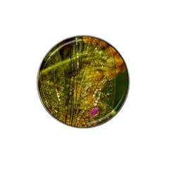 Dragonfly Dragonfly Wing Insect Hat Clip Ball Marker (4 Pack) by Nexatart