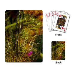 Dragonfly Dragonfly Wing Insect Playing Card by Nexatart