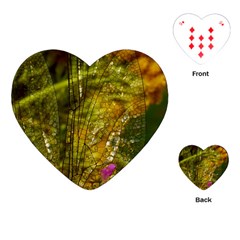 Dragonfly Dragonfly Wing Insect Playing Cards (heart)  by Nexatart