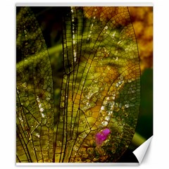 Dragonfly Dragonfly Wing Insect Canvas 8  X 10  by Nexatart