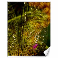 Dragonfly Dragonfly Wing Insect Canvas 12  X 16   by Nexatart