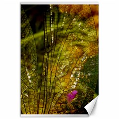 Dragonfly Dragonfly Wing Insect Canvas 12  X 18   by Nexatart