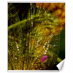 Dragonfly Dragonfly Wing Insect Canvas 16  X 20   by Nexatart